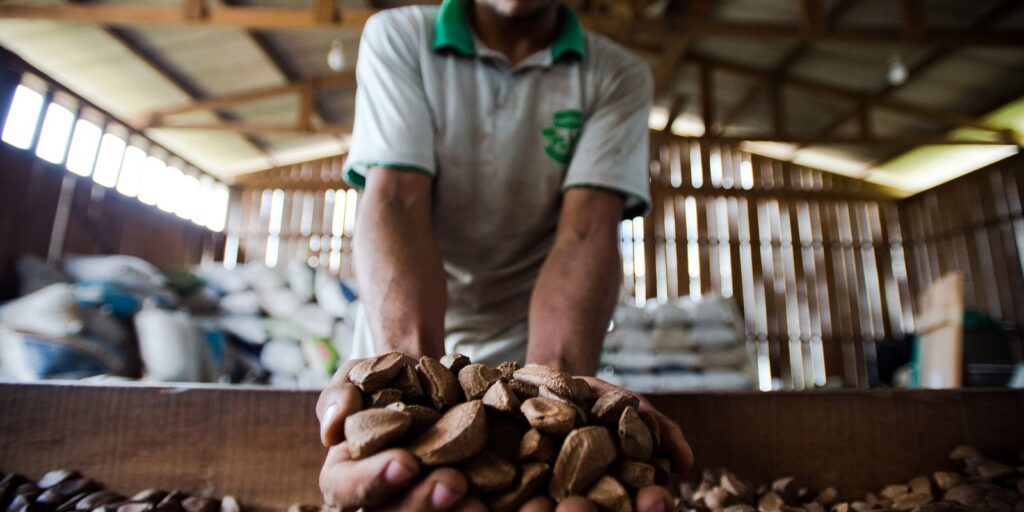 Privado: Fiocruz e Mapa mapeiam produção de plantas medicinais no Brasil