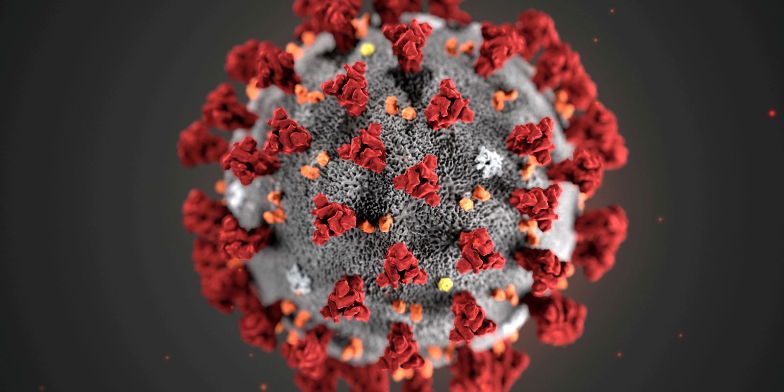 Privado: Fiocruz: estudo sugere que variante Delta pode causar mais reinfecções