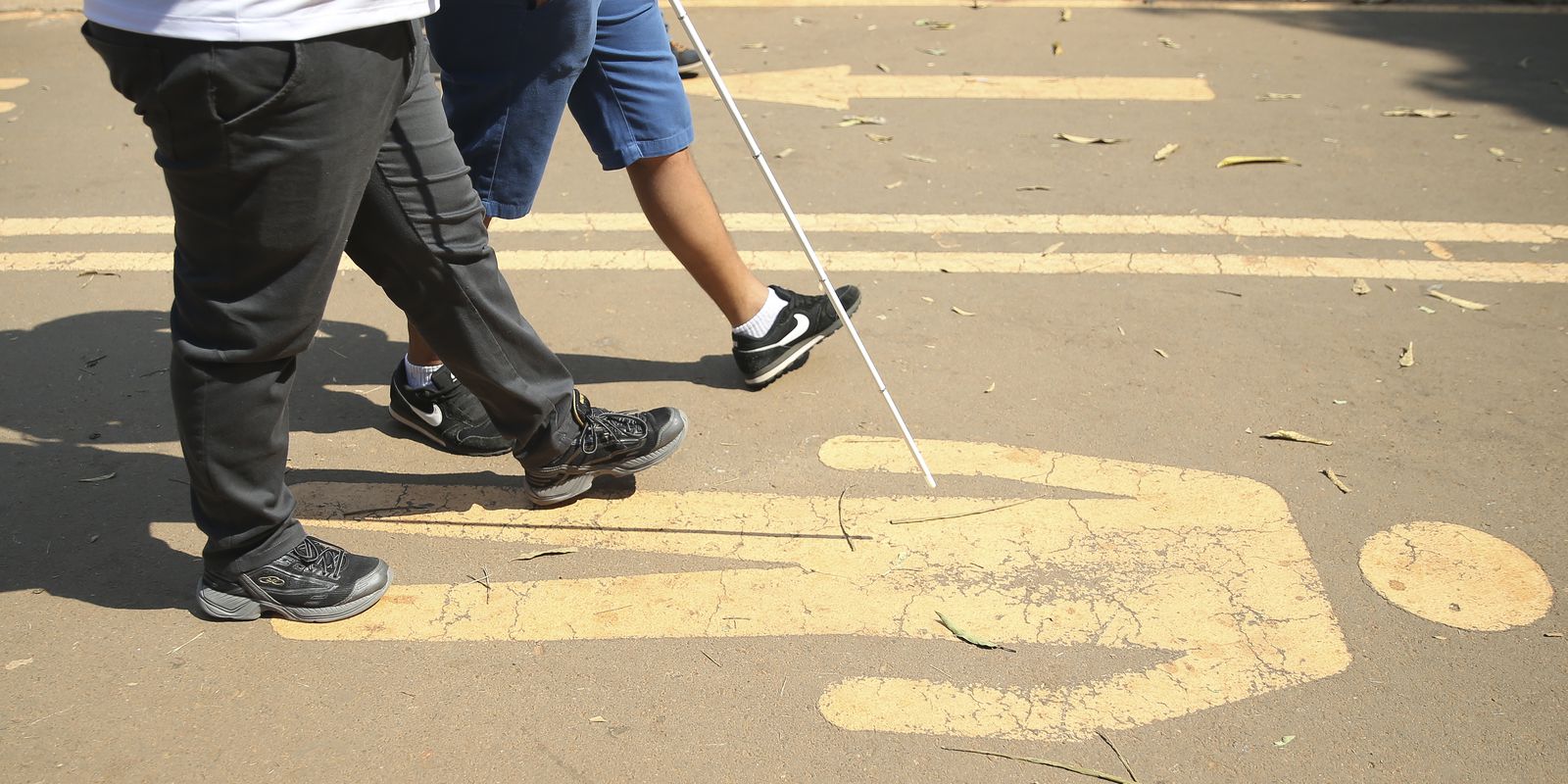 Privado: Pessoas com deficiência em 2019 eram 17,3 milhões