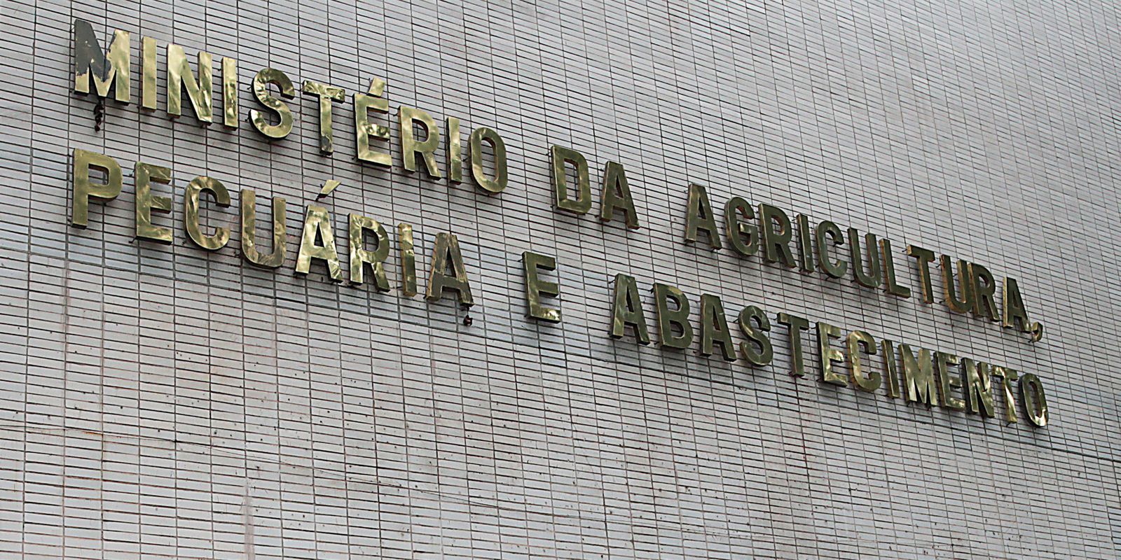 Privado: Casos de mal da vaca louca não são risco à produção bovina, diz OIE