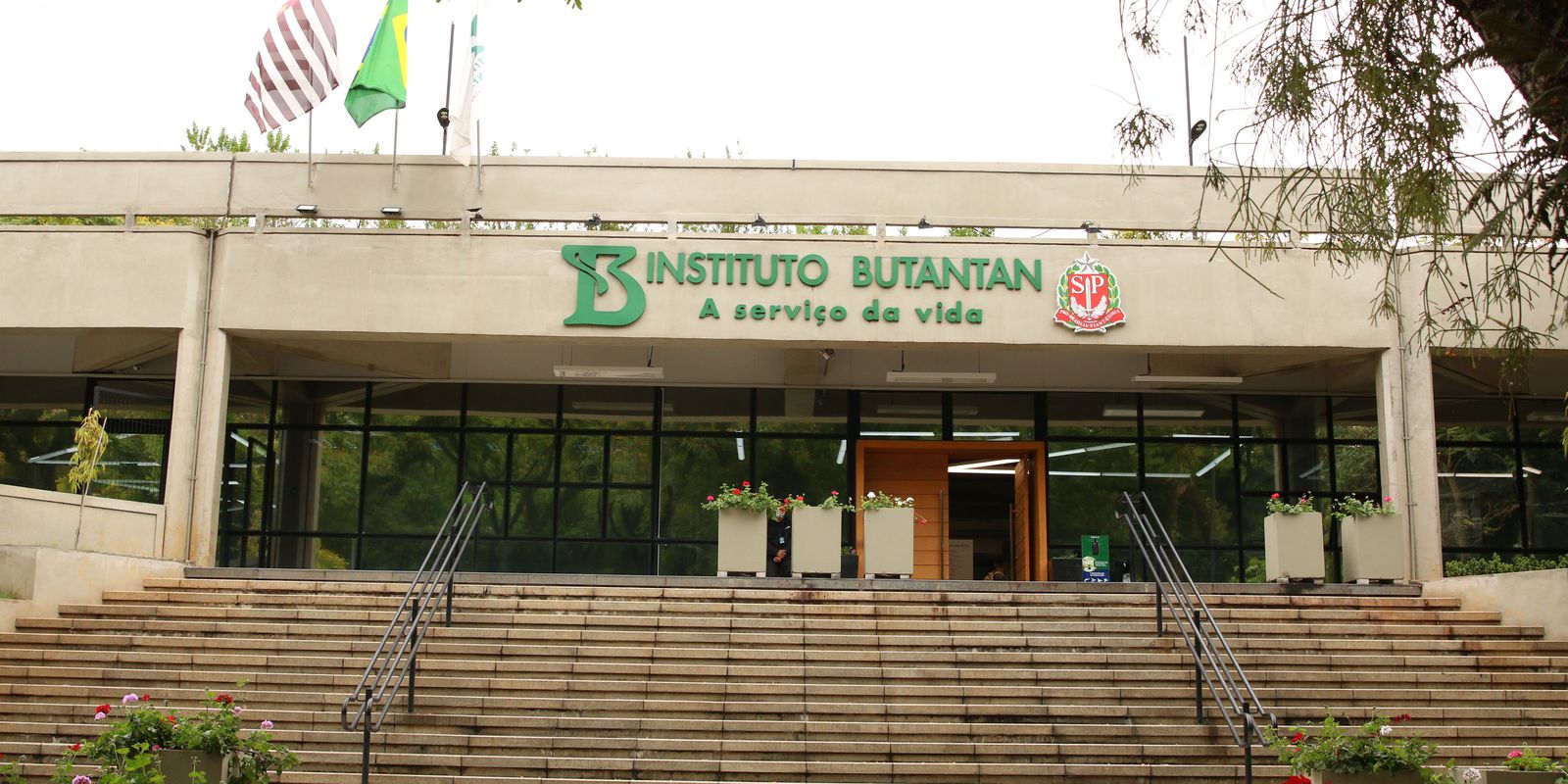 Privado: Butantan mostra a dinâmica de introdução do novo coronavírus no Brasil