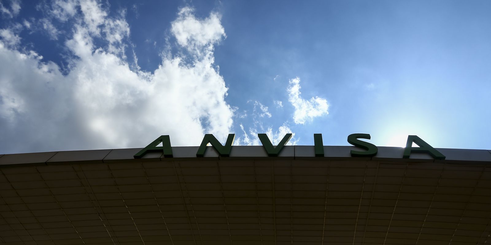 Privado: Anvisa defende transparência e cooperação entre agências reguladoras