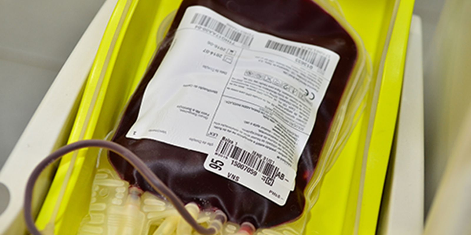 Privado: Hemorio alerta para queda no estoque de sangue neste fim de ano