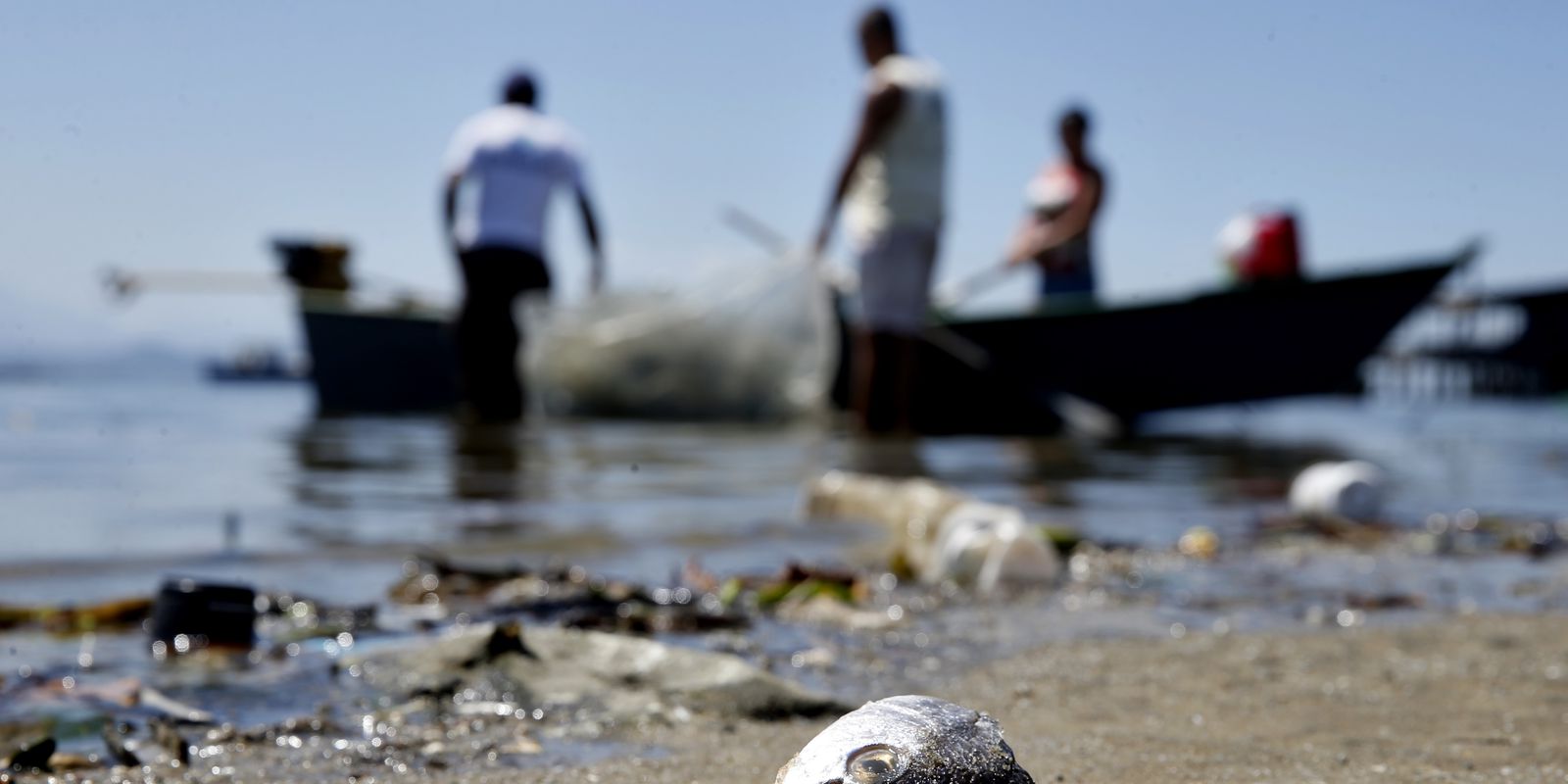 Privado: Projeto preserva cultura da pesca artesanal de mexilhões em Niterói