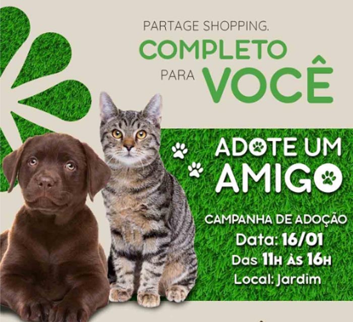adoção animais