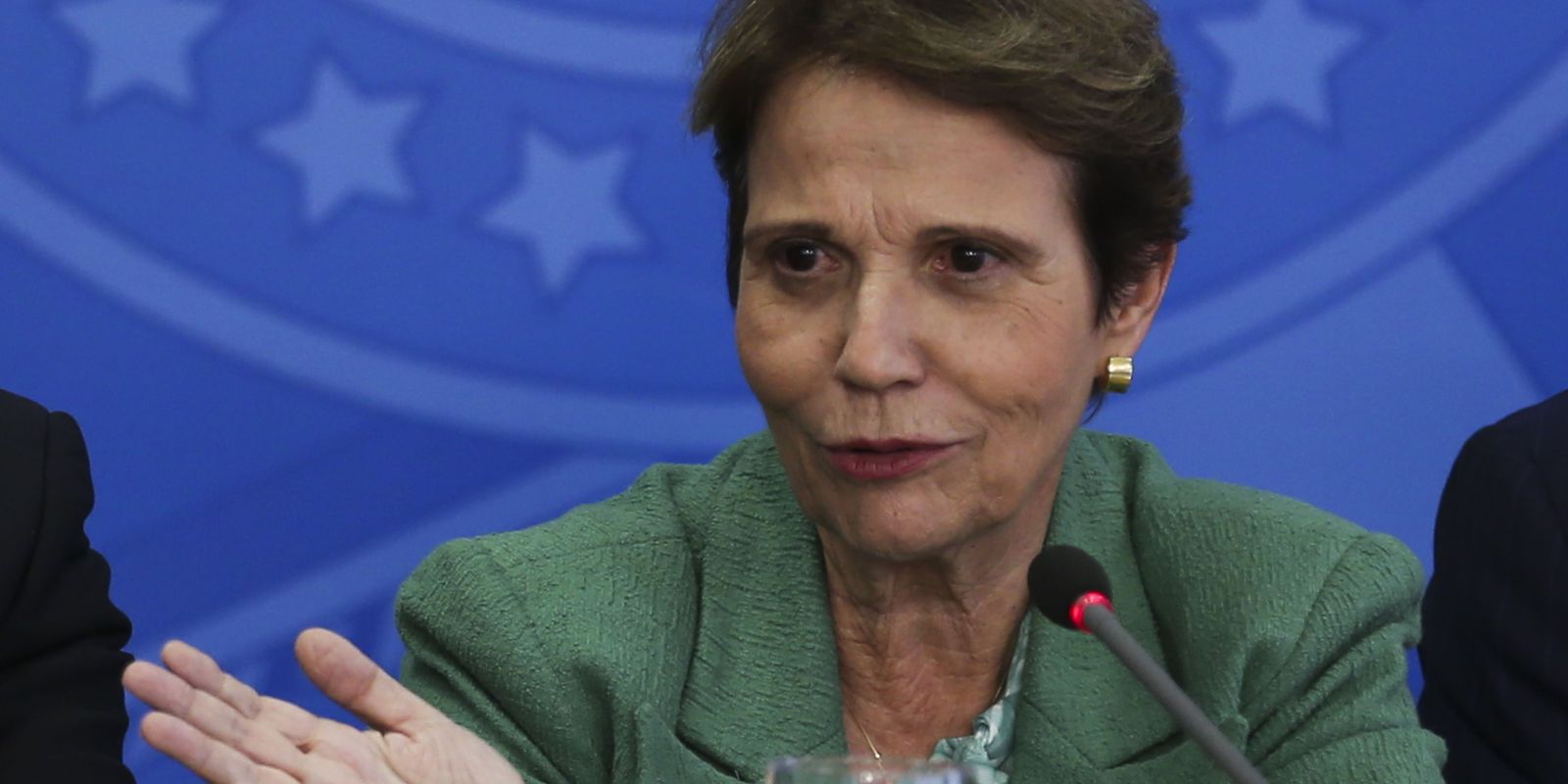 Privado: Ministra falará sobre sanções a fertilizantes em reunião na FAO