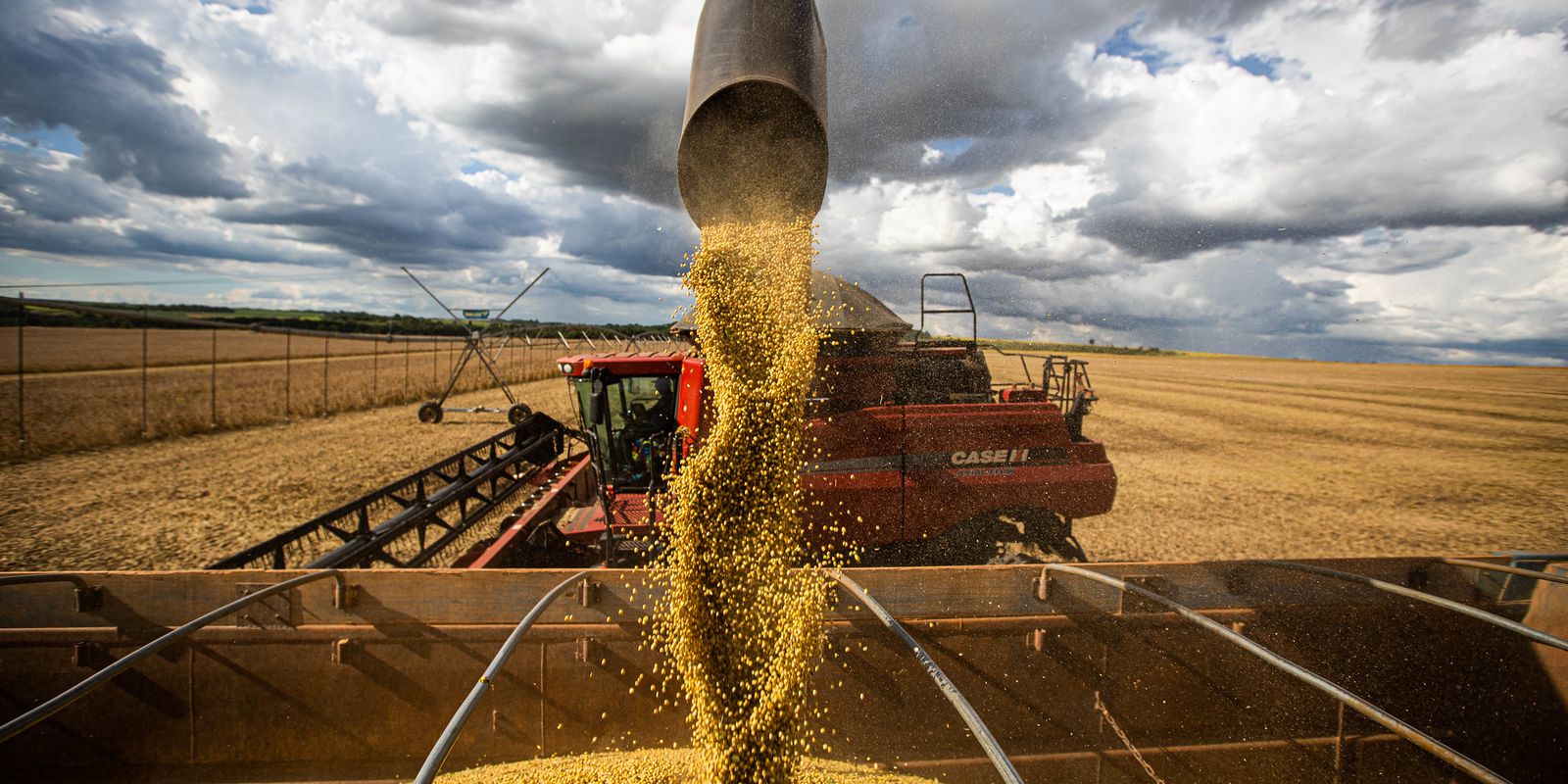 Privado: Comércio exterior do agronegócio tem saldo de US$ 9,3 bi em fevereiro