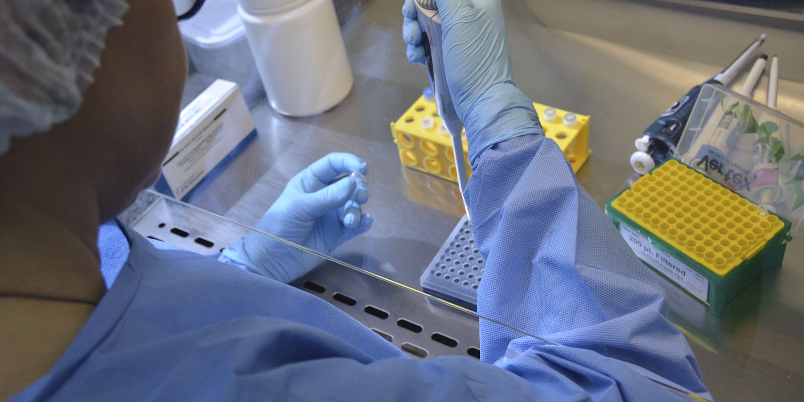 Privado: Plataforma reúne dados genômicos de bactérias multirresistentes