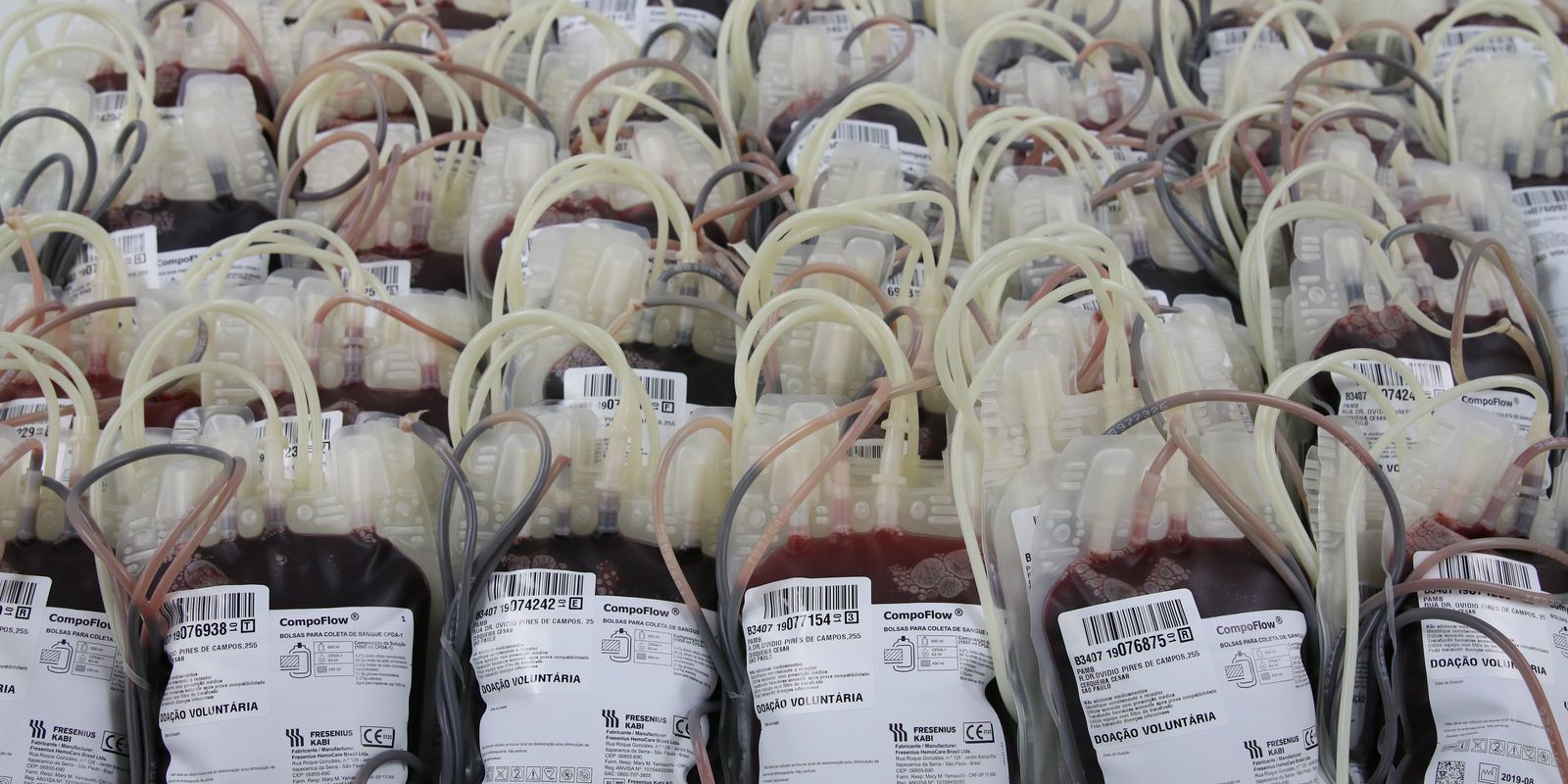 Privado: Estoque da Pró-sangue em São Paulo tem apenas 36% da capacidade