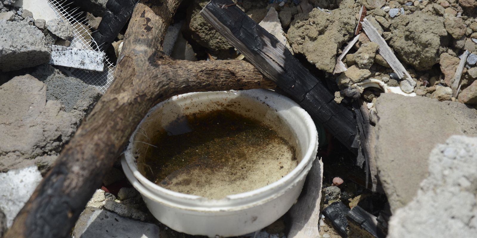 Privado: São Paulo já soma mais casos de dengue do que em todo ano passado