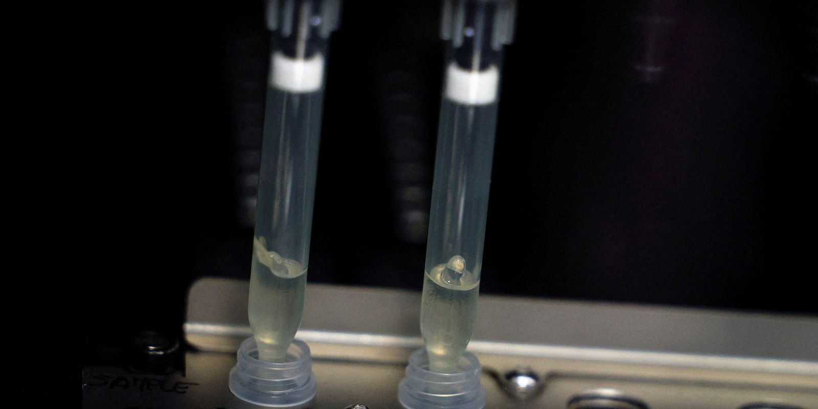 Privado: Laboratório da Fiocruz será referência em varíola dos macacos