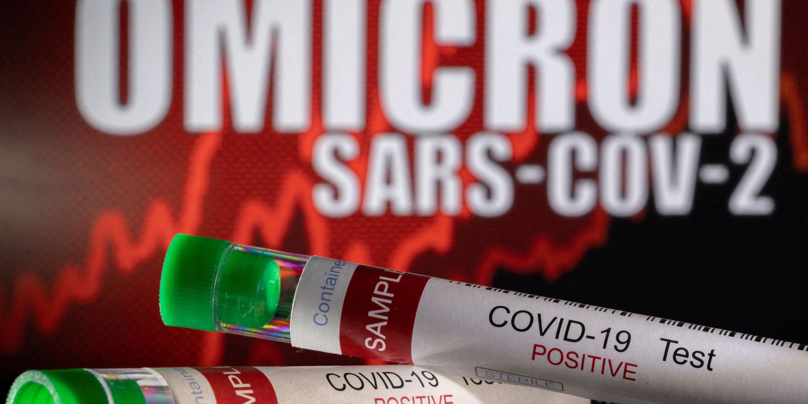 Privado: UFRN detecta duas novas variantes Ômicron da covid-19