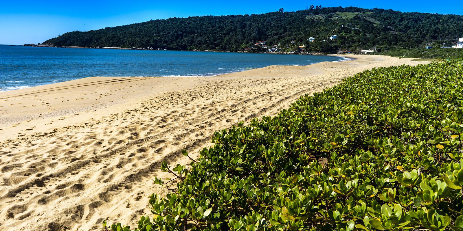 Privado: Turismo brasileiro cresce 47,7% em abril, aponta FecomercioSP