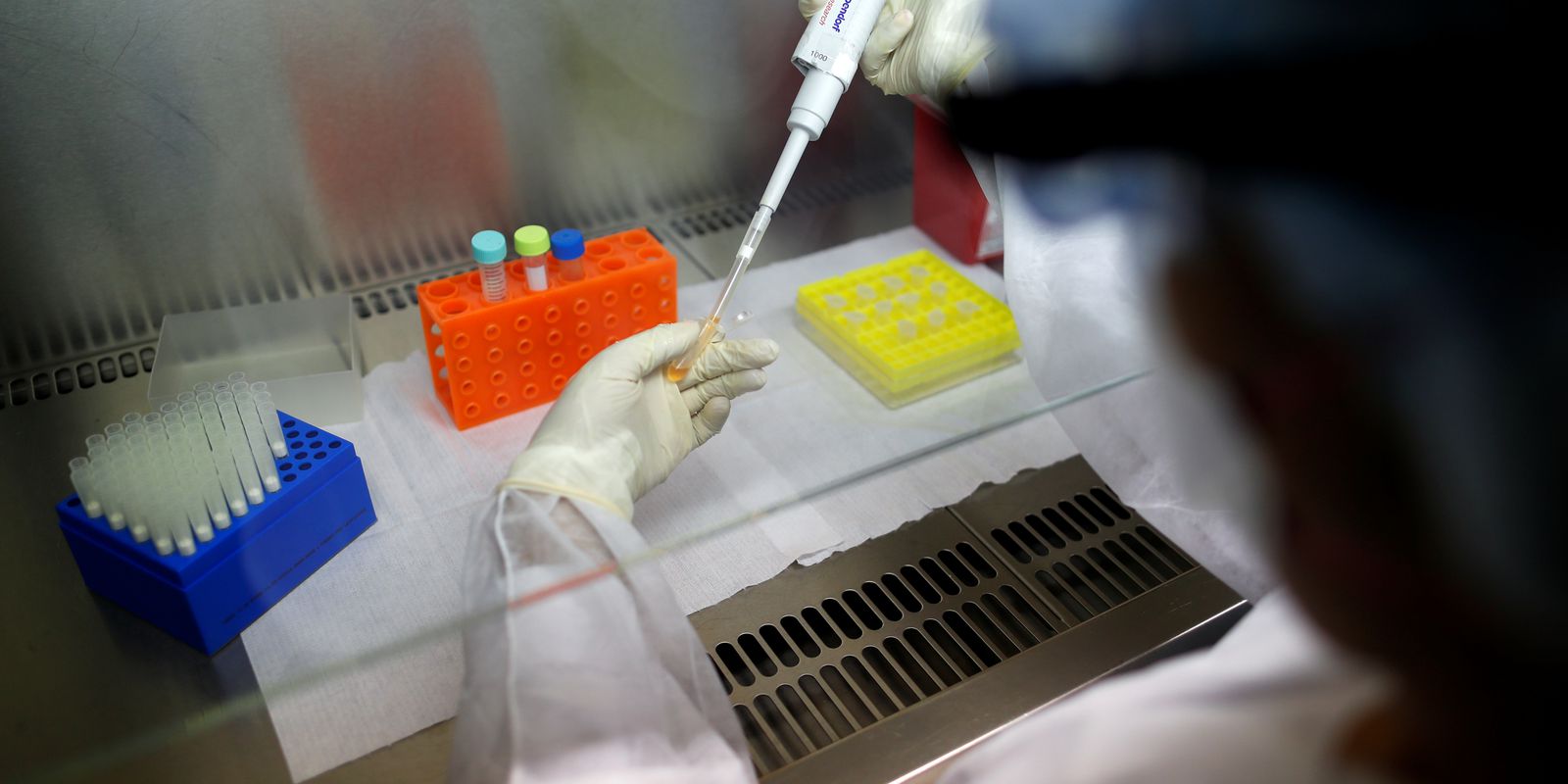 Privado: Estudo alerta para urgência de novos tratamentos contra verminoses