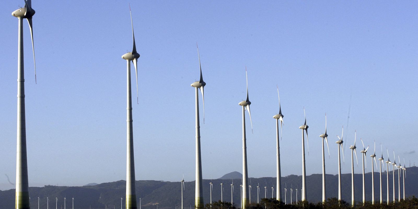 Privado: Fontes renováveis na matriz energética devem aumentar em 2022, diz MME