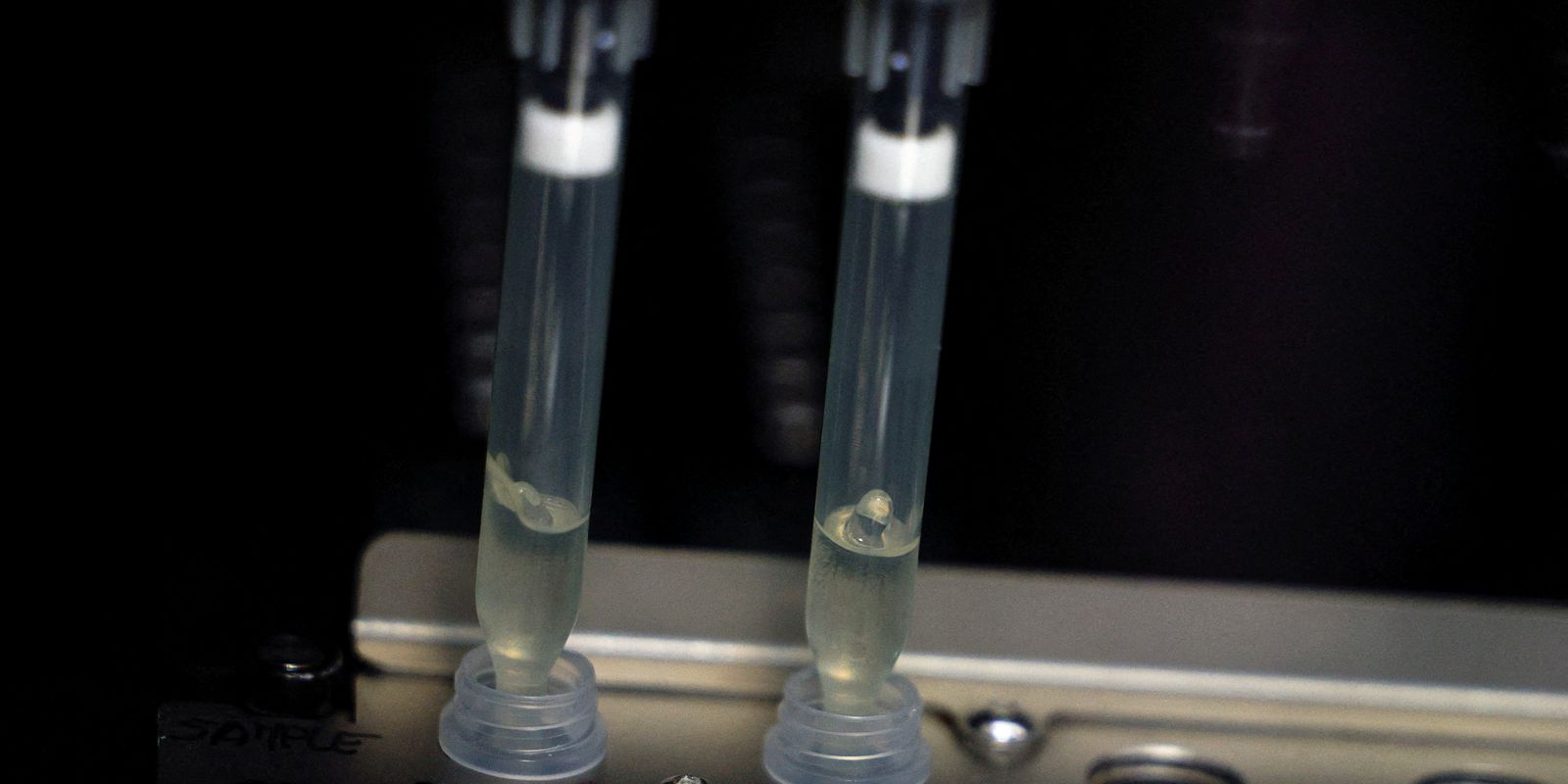 Privado: SP define medidas para prevenção e controle da varíola dos macacos