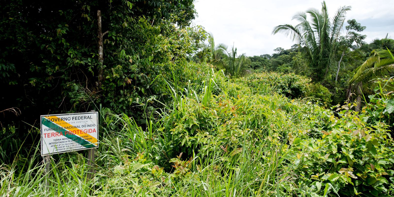 Privado: BNDES avalia concessão ambiental com pagamento para conservação