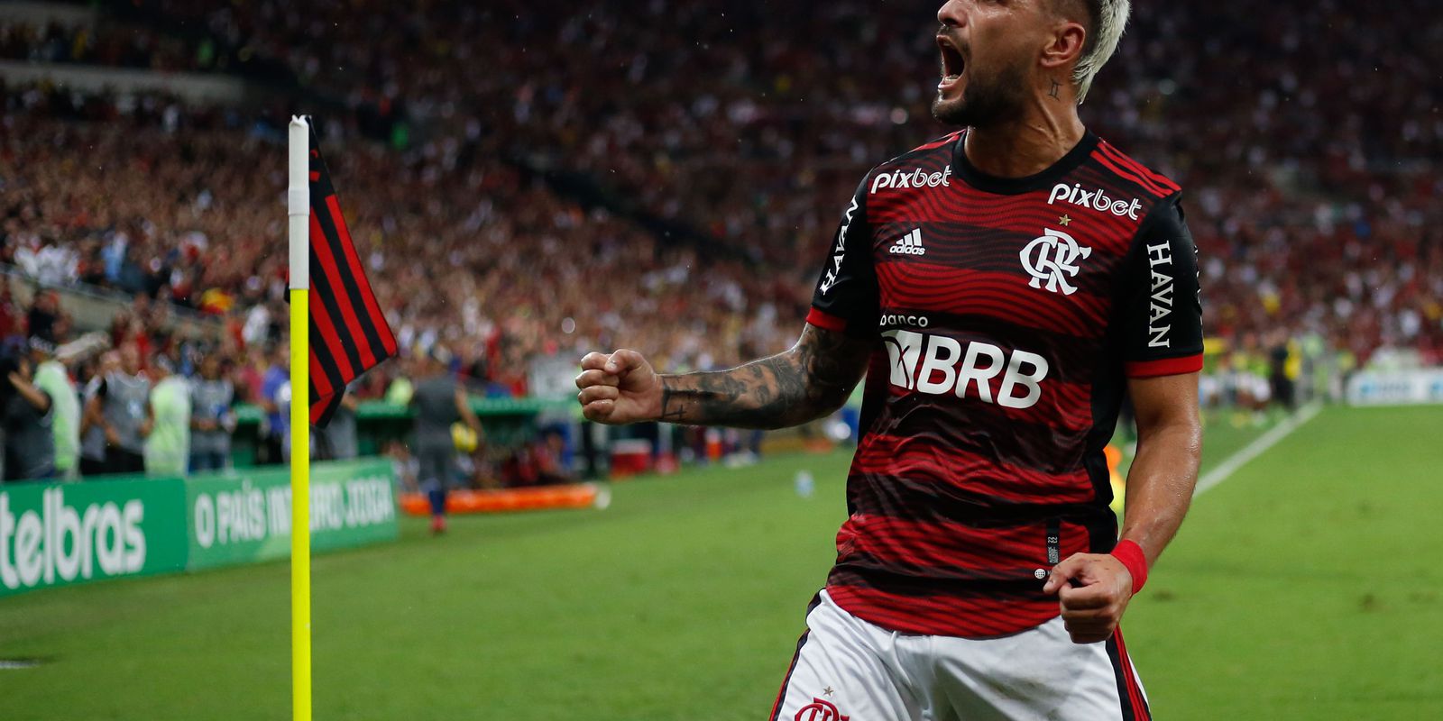Privado: Copa do Brasil: Flamengo derrota São Paulo no Maracanã e chega à final