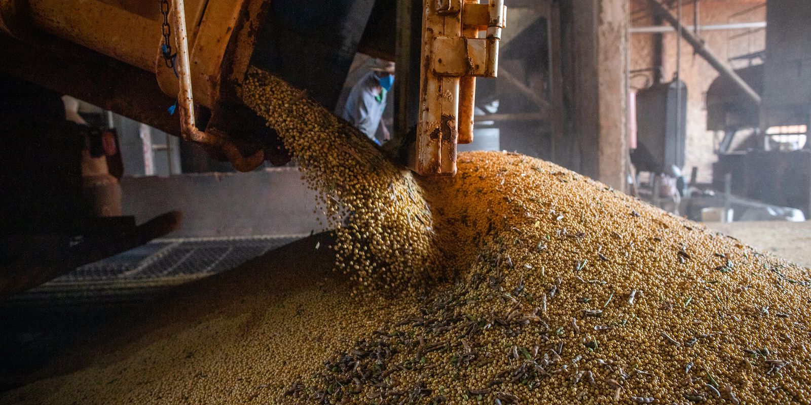 Privado: Produção agrícola em 2021 bate novo recorde e atinge R$ 743,3 bilhões