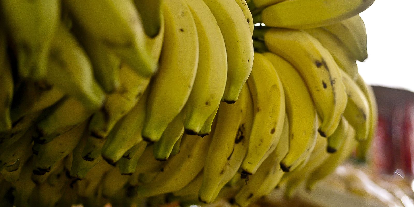 Privado: Conab: menor oferta eleva preços de hortaliças e frutas em setembro