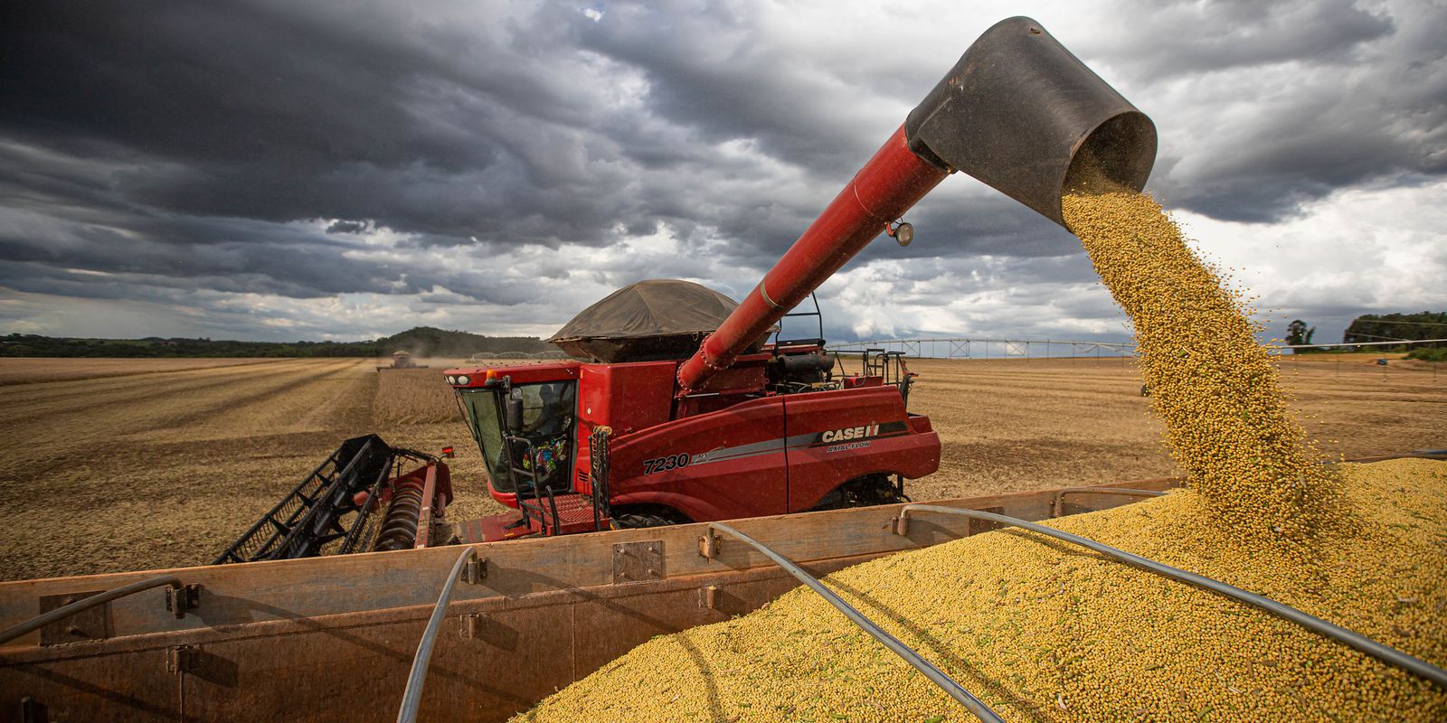 Privado: Governo cria grupo para implementar Observatório das Mulheres Rurais