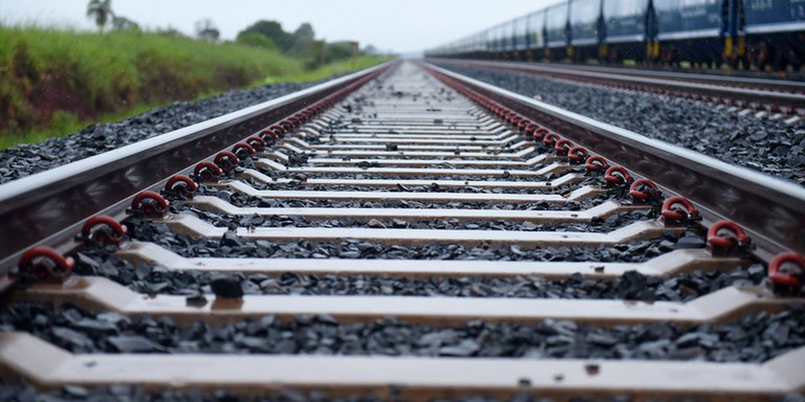 Privado: ANTT e ministério assinam cinco contratos de ferrovias autorizadas