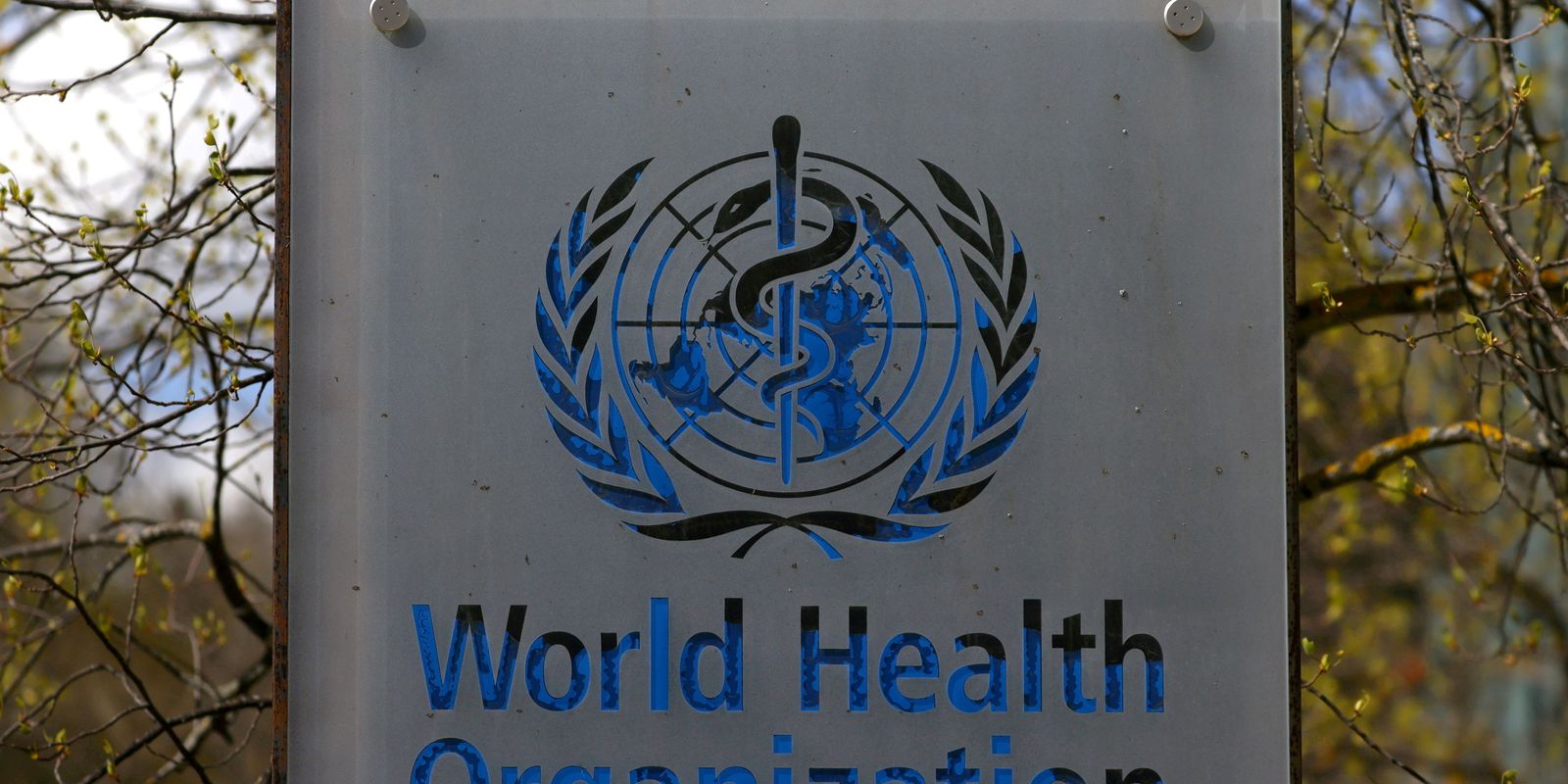 Privado: OMS: 1,6 milhão de pessoas morreram por tuberculose no mundo em 2021