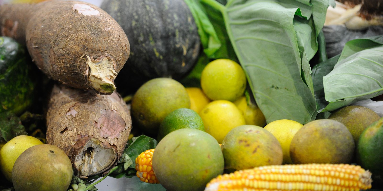 Privado: Mata Atlântica produz 50% dos alimentos consumidos no país, diz estudo