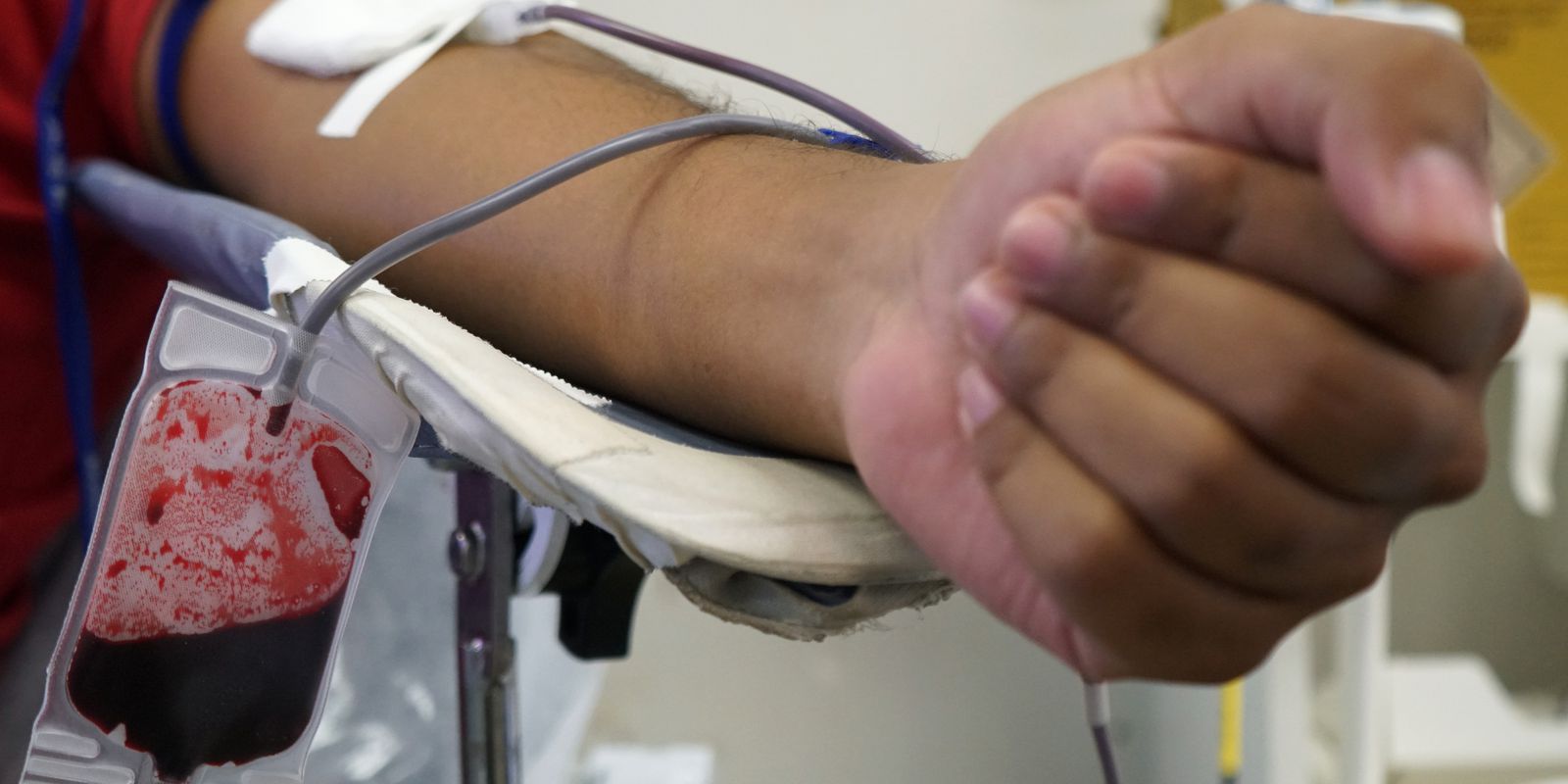 Privado: Triagem de sangue em hemocentros terá teste de malária