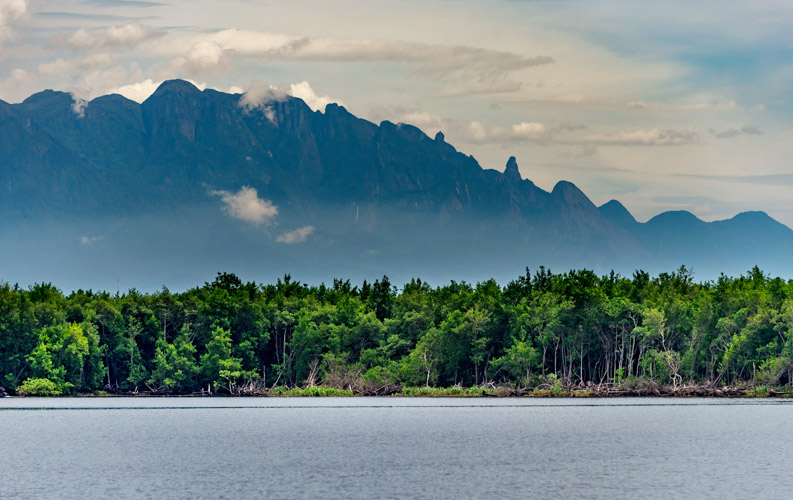 Parceria promove ações socioambientais em Cachoeiras de Macacu, Guapimirim e Itaboraí