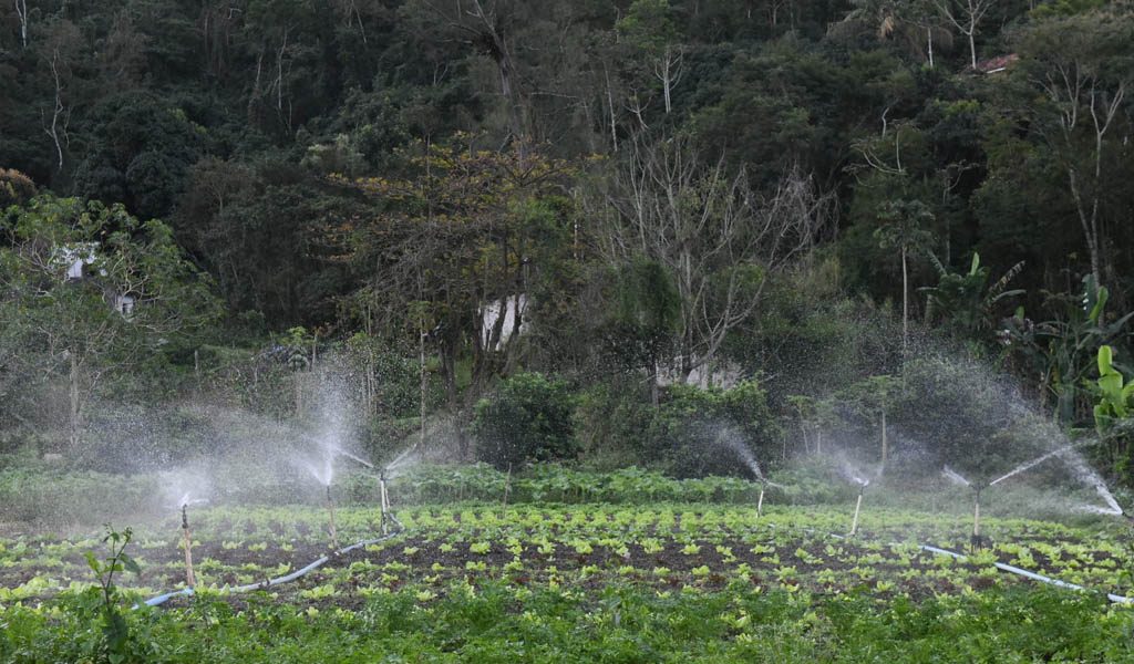 Aberta consulta pública para implementar Reservas Particulares do Patrimônio Natural em Niterói