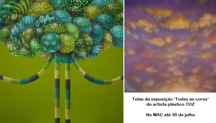 Até 30/07: expo ‘Todas as cores’, de Tomaz Viana, no MAC