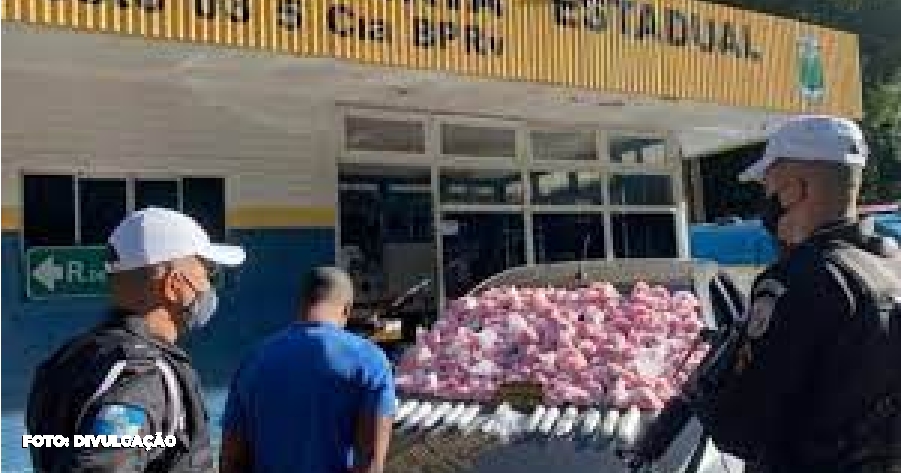 Ação efetiva da Polícia Militar resulta na apreensão de grande quantidade de drogas em Rio Bonito