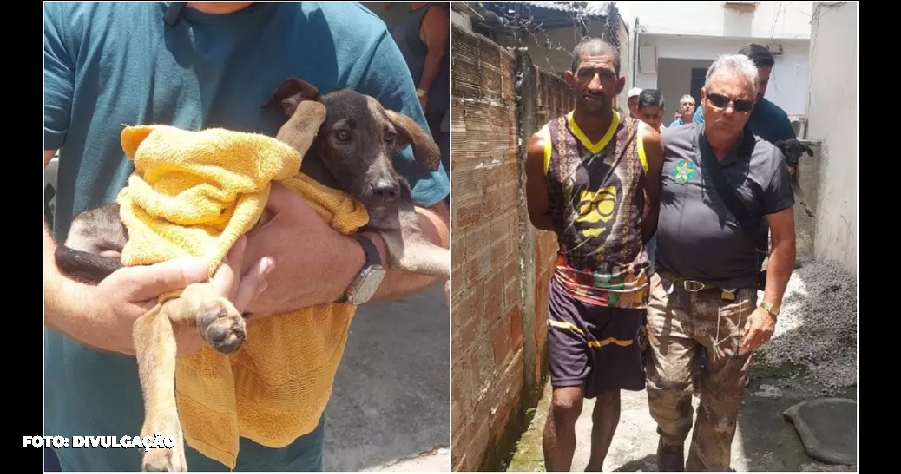 Prisão de agressor de cachorro na Zona Oeste do Rio por maus-tratos