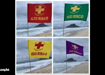 Desfrute do Verão com segurança: As cores das bandeiras nas praias do Rio