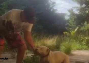 Caso de crueldade animal em São Gonçalo é investigado pela polícia