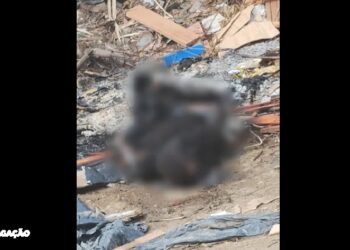 Descoberto corpo carbonizado no Jardim Alcântara, São Gonçalo