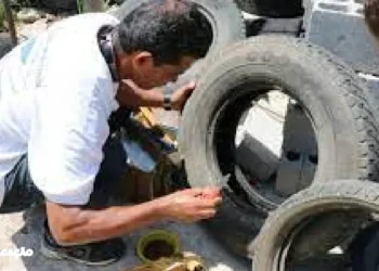 As autoridades de saúde de Niterói estão atentas à estabilidade dos casos de dengue