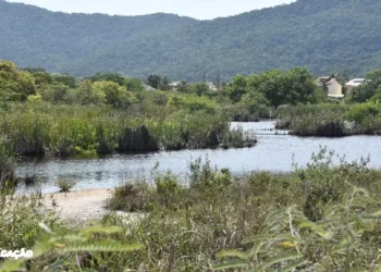 Maricá Alcança Avanços Notáveis na Conservação Ambiental em 2023