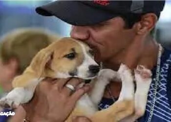 Proteção Animal divulga lista de classificação final dos inscritos no “Mumbucão”.