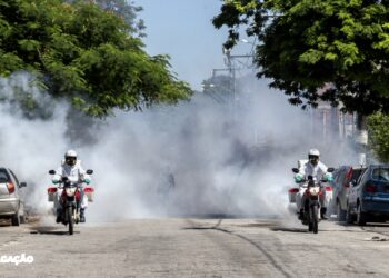 Programação semanal de controle em São Gonçalo: Arboviroses e Coronavírus
