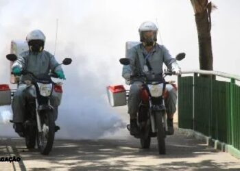 São Gonçalo Inicia 2024 com Medidas de Combate ao Aedes aegypti