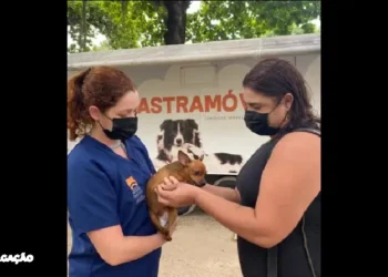 Ação Animal no Parque Rural de Niterói Promove Bem-Estar Pet!