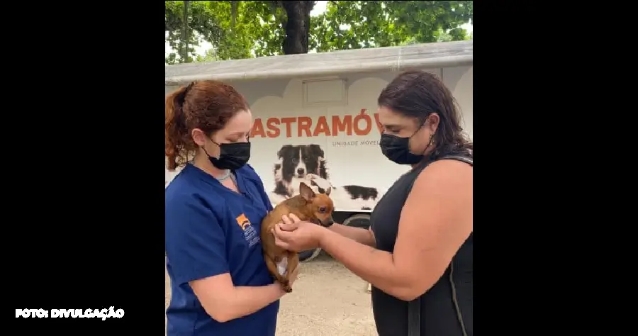 Ação Animal no Parque Rural de Niterói Promove Bem-Estar Pet!