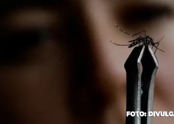 Calendário de vacinação antecipado para combater epidemia de Dengue no Rio de Janeiro