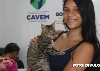Cavem Alcântara: Reforço no serviço de castrações para Cães e Gatos