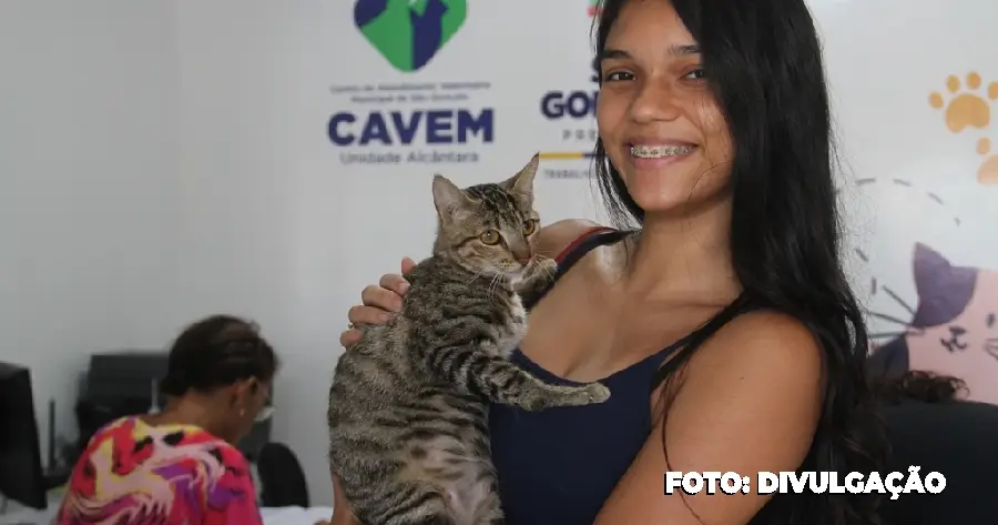 Cavem Alcântara: Reforço no serviço de castrações para Cães e Gatos