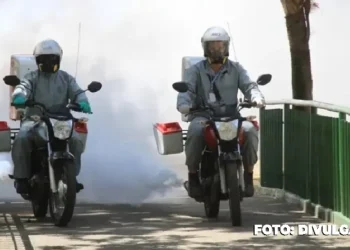 Combate ao Aedes aegypti em São Gonçalo: Ações em mais de 35 Bairros