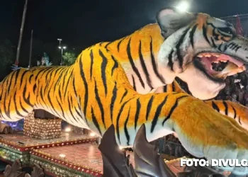 Porto da Pedra: Membros Denunciam Calote e Insatisfação Pós-Desfile