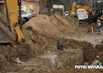 Planejamento Especial para Continuidade do Projeto MUVI